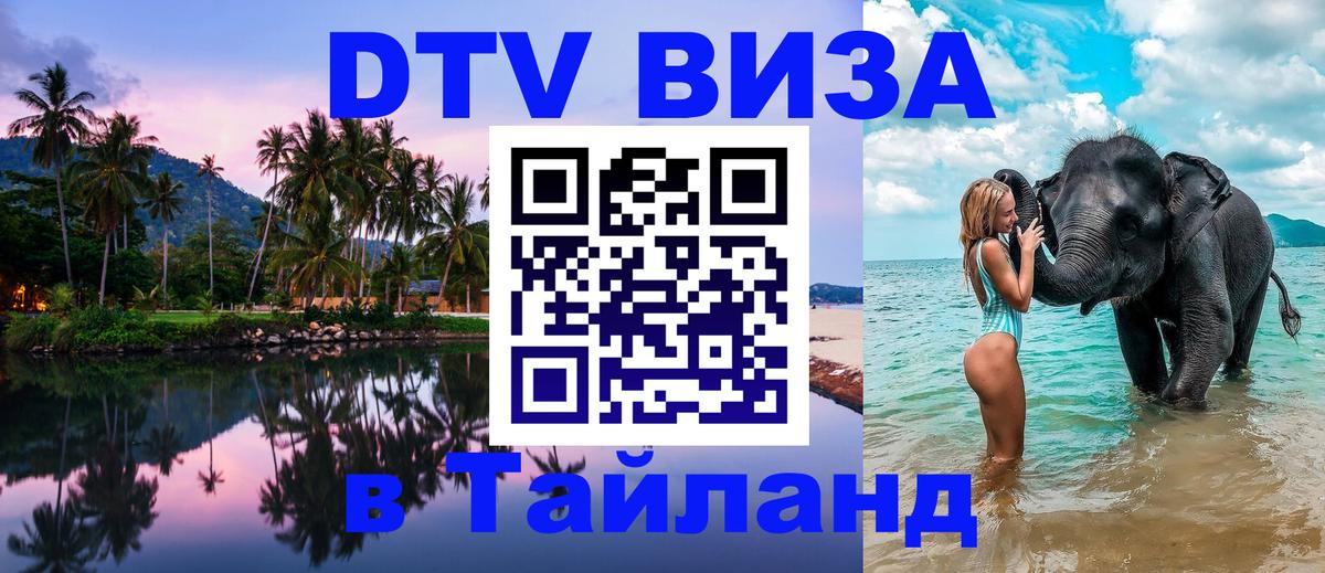 Сколько стоит DTV виза — актуальные цены, оформление даже без документов - 19.11.2025 